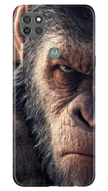 Angry Ape Mobile Back Case for Moto G9 Power (Design - 316)
