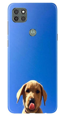 Dog Mobile Back Case for Moto G9 Power (Design - 332)