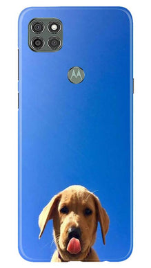 Dog Mobile Back Case for Moto G9 Power (Design - 332)