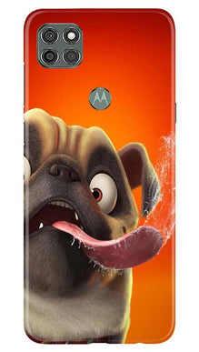 Dog Mobile Back Case for Moto G9 Power (Design - 343)