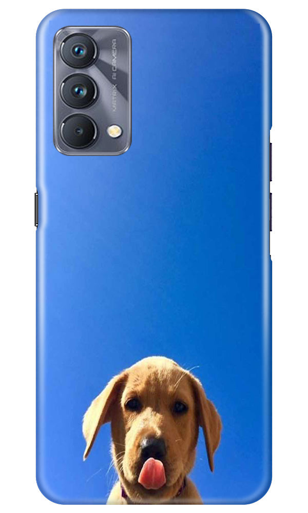 Dog Mobile Back Case for Realme GT 5G Master Edition (Design - 294)