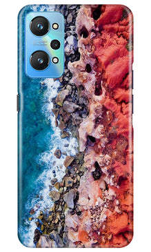 Lion Mobile Back Case for Realme GT Neo 2 (Design - 241)