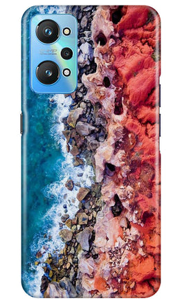 Lion Case for Realme GT Neo 2 (Design No. 241)