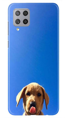 Dog Mobile Back Case for Samsung Galaxy M42 (Design - 332)