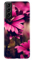 Purple Daisy Case for Samsung Galaxy S21 Plus
