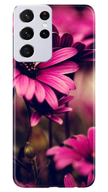 Purple Daisy Mobile Back Case for Samsung Galaxy S21 Ultra (Design - 65)