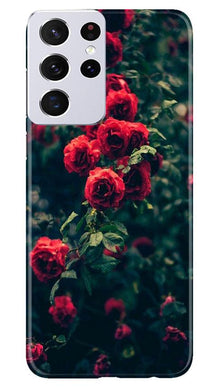 Red Rose Mobile Back Case for Samsung Galaxy S21 Ultra (Design - 66)