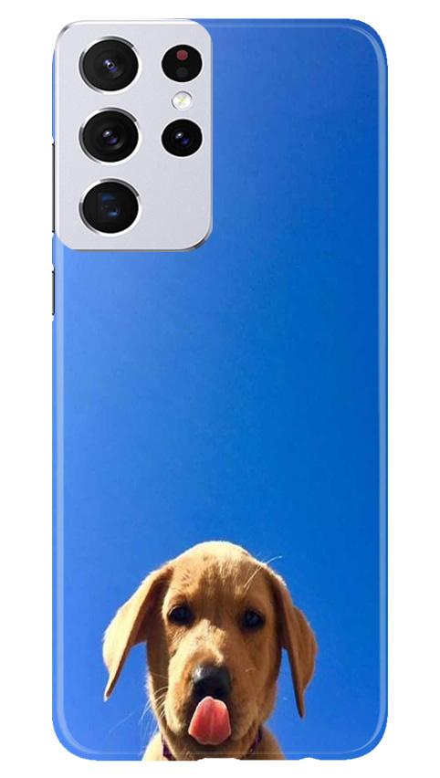 Dog Mobile Back Case for Samsung Galaxy S21 Ultra (Design - 332)