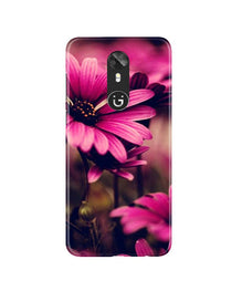 Purple Daisy Mobile Back Case for Gionee A1 (Design - 65)