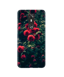 Red Rose Mobile Back Case for Gionee A1 (Design - 66)