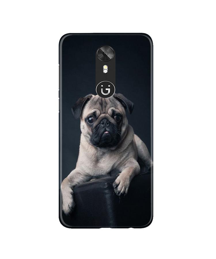 little Puppy Case for Gionee A1