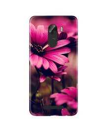 Purple Daisy Mobile Back Case for Gionee A1 Lite (Design - 65)