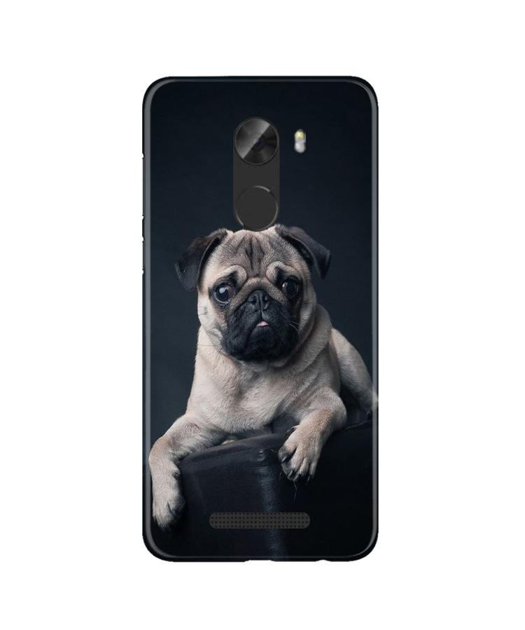 little Puppy Case for Gionee A1 Lite
