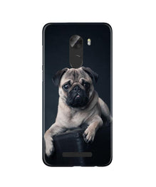 little Puppy Mobile Back Case for Gionee A1 Lite (Design - 68)
