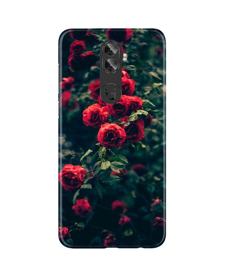 Red Rose Case for Gionee A1 Plus