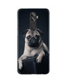 little Puppy Case for Gionee A1 Plus