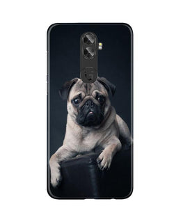 little Puppy Case for Gionee A1 Plus