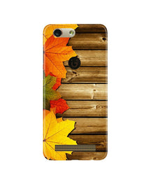 Wooden look3 Mobile Back Case for Gionee F103 Pro (Design - 61)