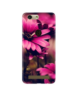 Purple Daisy Case for Gionee F103 Pro