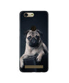 little Puppy Case for Gionee F103 Pro