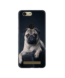 little Puppy Mobile Back Case for Gionee F103 Pro (Design - 68)