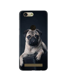 little Puppy Case for Gionee F103 Pro