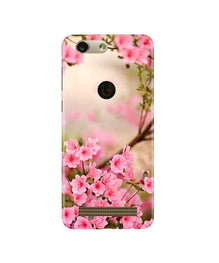 Pink flowers Mobile Back Case for Gionee F103 Pro (Design - 69)