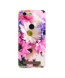 Coloful Daisy Mobile Back Case for Gionee F103 Pro (Design - 73)