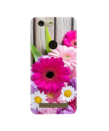 Coloful Daisy2 Mobile Back Case for Gionee F103 Pro (Design - 76)