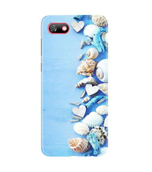 Sea Shells2 Mobile Back Case for Gionee F205 (Design - 64)