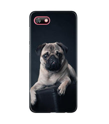 little Puppy Mobile Back Case for Gionee F205 (Design - 68)
