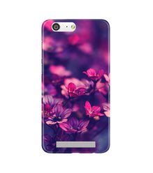 flowers Mobile Back Case for Gionee M5 (Design - 25)