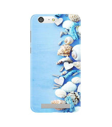Sea Shells2 Mobile Back Case for Gionee M5 (Design - 64)