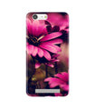 Purple Daisy Case for Gionee M5