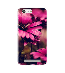 Purple Daisy Mobile Back Case for Gionee M5 (Design - 65)