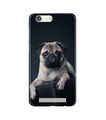 little Puppy Case for Gionee M5