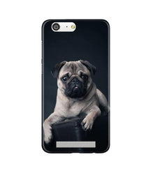 little Puppy Mobile Back Case for Gionee M5 (Design - 68)