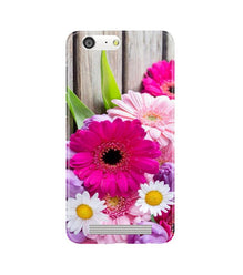 Coloful Daisy2 Mobile Back Case for Gionee M5 (Design - 76)