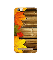 Wooden look3 Mobile Back Case for Gionee M5 Lite (Design - 61)