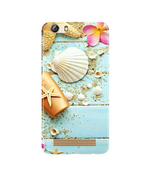 Sea Shells Mobile Back Case for Gionee M5 Lite (Design - 63)