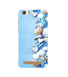 Sea Shells2 Mobile Back Case for Gionee M5 Lite (Design - 64)