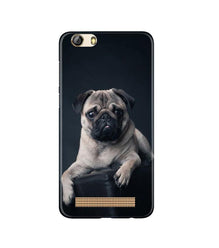 little Puppy Mobile Back Case for Gionee M5 Lite (Design - 68)