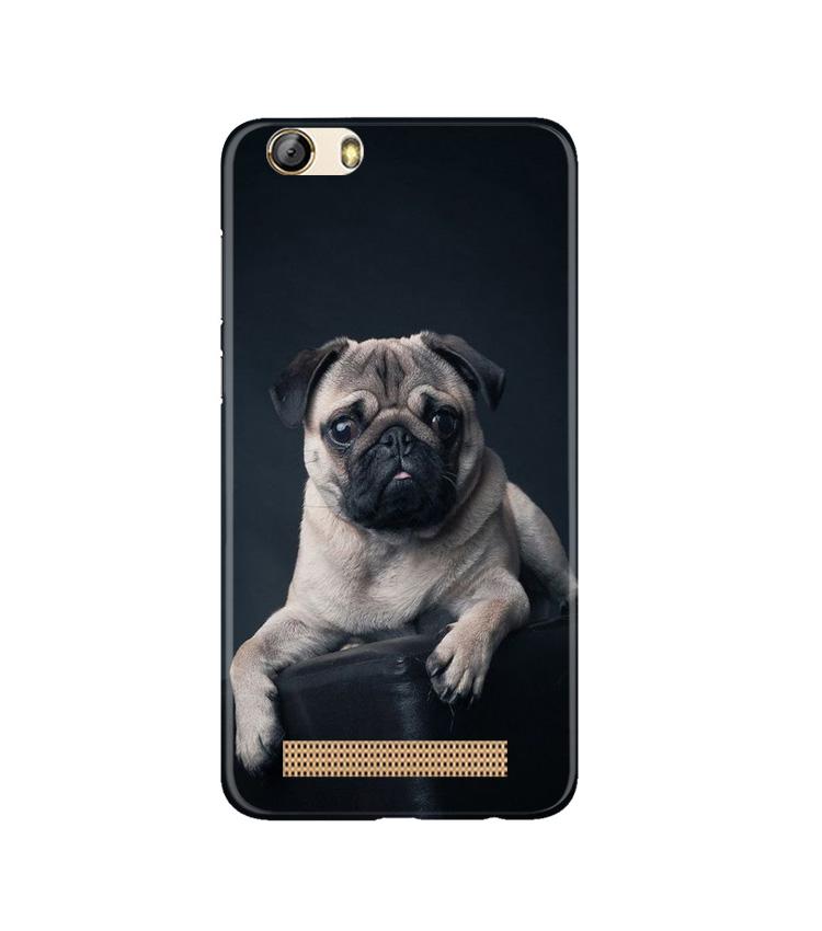 little Puppy Case for Gionee M5 Lite
