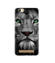 Lion Mobile Back Case for Gionee M5 Lite (Design - 272)