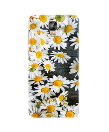 White flowers2 Mobile Back Case for Gionee M5 Plus (Design - 62)