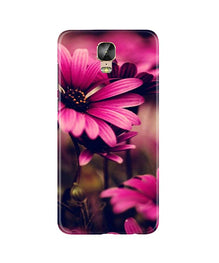 Purple Daisy Mobile Back Case for Gionee M5 Plus (Design - 65)