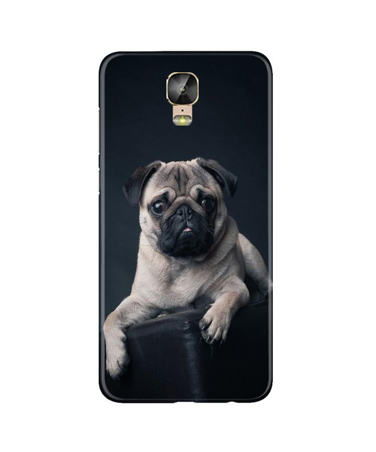 little Puppy Case for Gionee M5 Plus