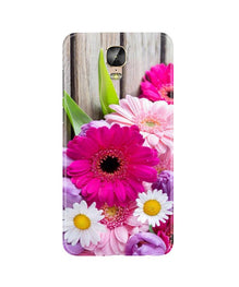Coloful Daisy2 Mobile Back Case for Gionee M5 Plus (Design - 76)