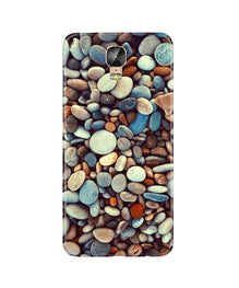 Pebbles Mobile Back Case for Gionee M5 Plus (Design - 205)
