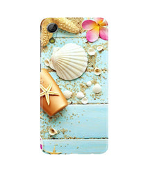 Sea Shells Mobile Back Case for Gionee P5L / P5W / P5 Mini (Design - 63)